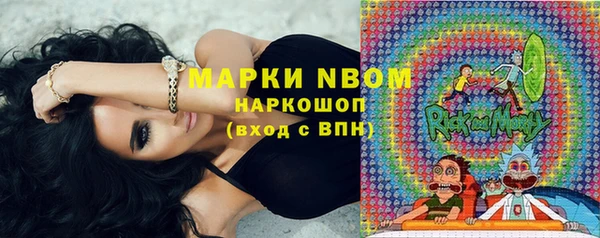шишки Горно-Алтайск