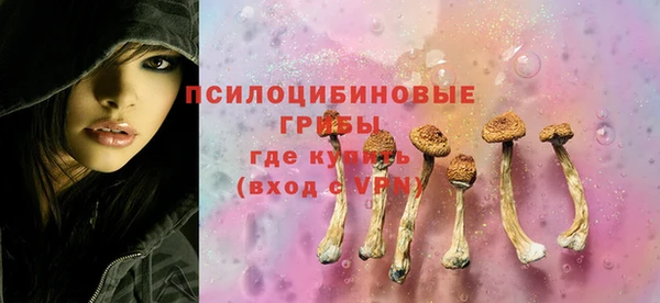 дурь Вязьма