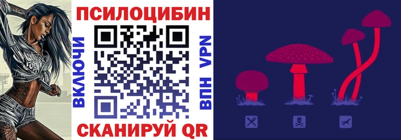 Купить закладки  Кириллов  Псилоцибиновые грибы мухоморы 
