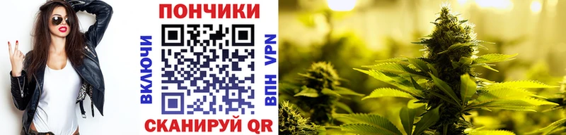 Купить  Кириллов  Бошки Шишки сатива 